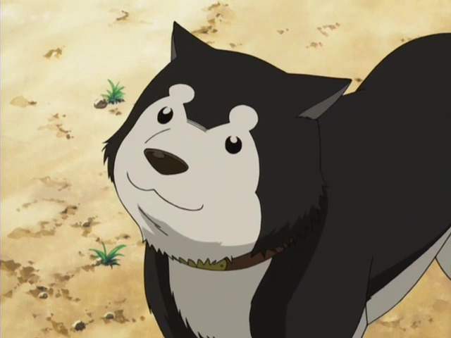 Haytle Blank Meme Template