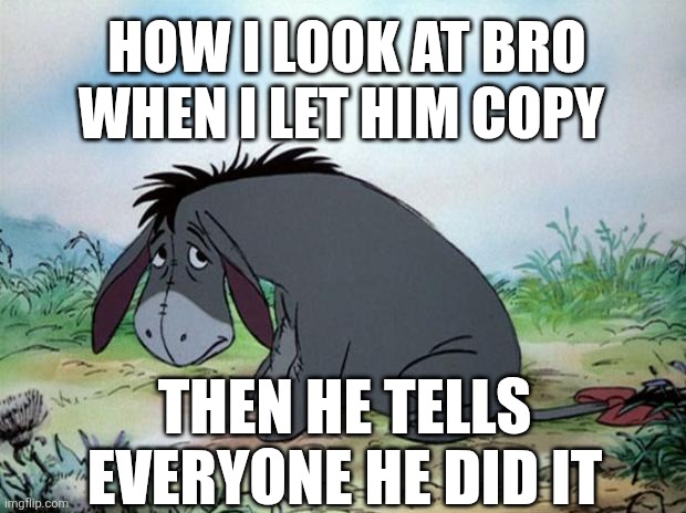 The betrayal | How I look at bro when I let him copy; Then he tells everyone he did it | image tagged in eeyore | made w/ Imgflip meme maker