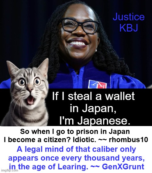 Smarter than a fifth grader? (Nu uh!) | Justice KBJ; If I steal a wallet 
in Japan, 
I'm Japanese. So when I go to prison in Japan 
I become a citizen? Idiotic. ~~ rhombus10; A legal mind of that caliber only 
appears once every thousand years, 
in the age of Learing. ~~ GenXGrunt | image tagged in supreme court,justice,social justice,democrats,liberalism,political humor | made w/ Imgflip meme maker