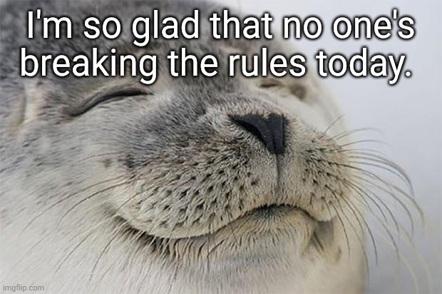 Satisfied Seal | I'm so glad that no one's breaking the rules today. | image tagged in memes,satisfied seal | made w/ Imgflip meme maker