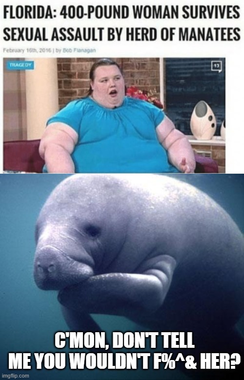 Manatee Love | C'mon, don't tell me you wouldn't F%^& her? | image tagged in manatee | made w/ Imgflip meme maker