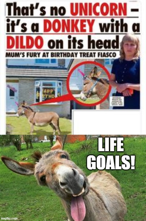 Donkeycorn | Life goals! | image tagged in laughing donkey | made w/ Imgflip meme maker