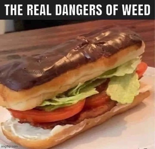 Real Danger | image tagged in repost | made w/ Imgflip meme maker