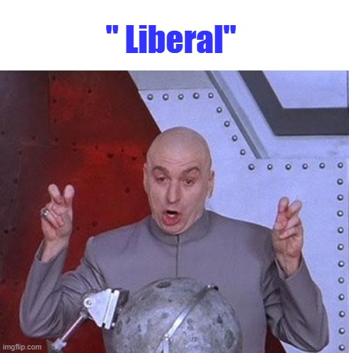 I'm a liberal, I care. You don't. I'm special. A legend in my own mind. | " Liberal" | image tagged in memes,dr evil laser | made w/ Imgflip meme maker