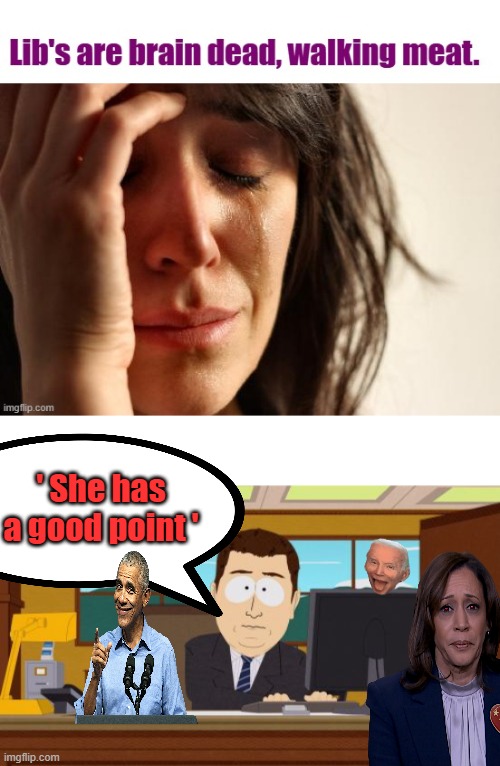 Contemplating the world. | ' She has a good point ' | image tagged in memes,aaaaand its gone | made w/ Imgflip meme maker