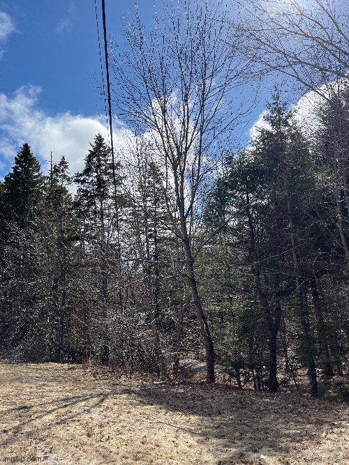 its a beautiful day | made w/ Imgflip meme maker