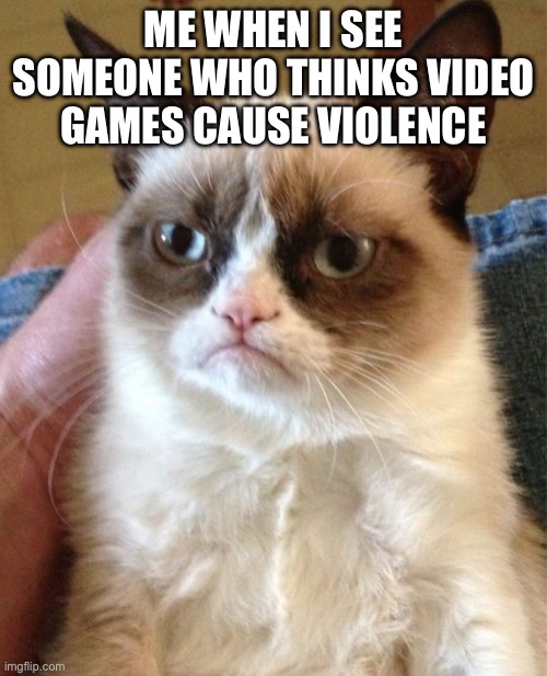 Grumpy Cat Meme | me when i see someone who thinks video games cause violence | image tagged in memes,grumpy cat | made w/ Imgflip meme maker