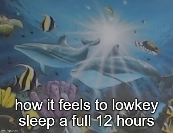 cro is not the sunshine nor the moon at night </3 | how it feels to lowkey sleep a full 12 hours | image tagged in how it feels alt | made w/ Imgflip meme maker