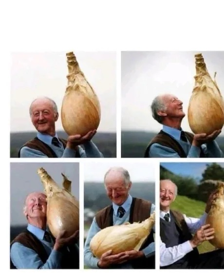 Onion man Blank Meme Template
