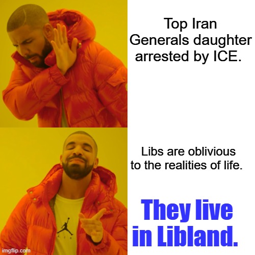 Drake Hotline Bling Meme | Top Iran Generals daughter arrested by ICE. Libs are oblivious to the realities of life. They live in Libland. | image tagged in memes,drake hotline bling | made w/ Imgflip meme maker
