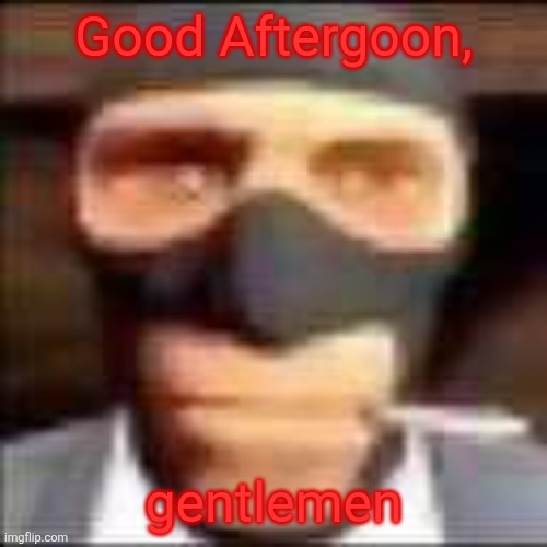 Good Aftergoon, gentlemen | Good Aftergoon, gentlemen | image tagged in spi | made w/ Imgflip meme maker