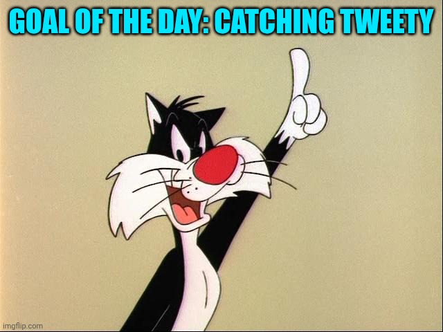 sylvester | Goal of the Day: catching tweety | image tagged in sylvester | made w/ Imgflip meme maker
