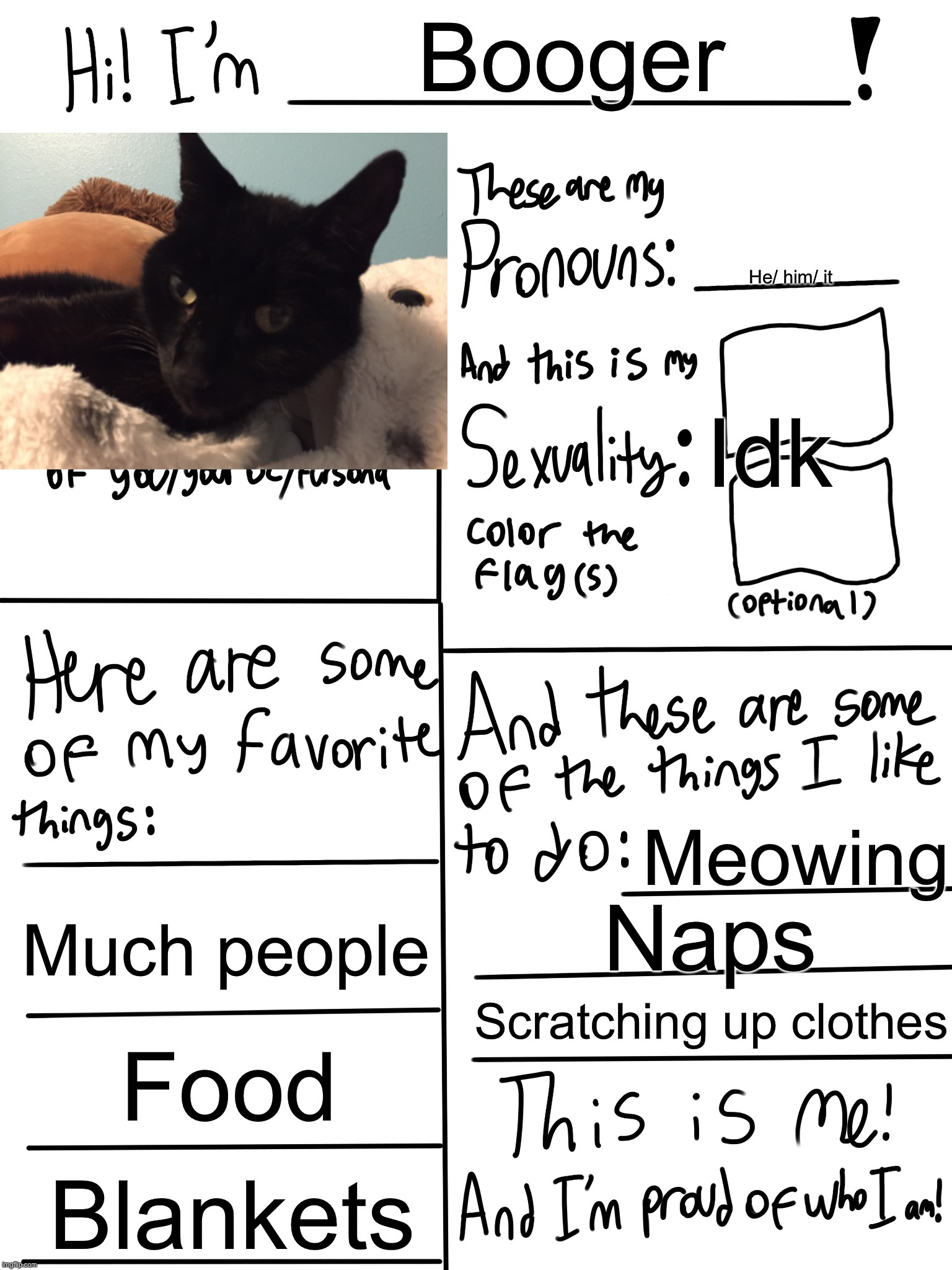Here’s my cat | Booger; He/ him/ it; Idk; Meowing; Much people; Naps; Scratching up clothes; Food; Blankets | image tagged in lgbtq stream account profile | made w/ Imgflip meme maker
