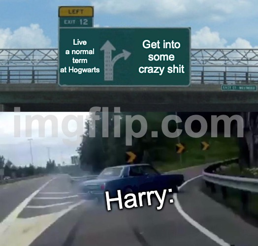 Potterhead memes #1 | Live a normal term at Hogwarts; Get into some crazy shit; Harry: | image tagged in memes,left exit 12 off ramp | made w/ Imgflip meme maker