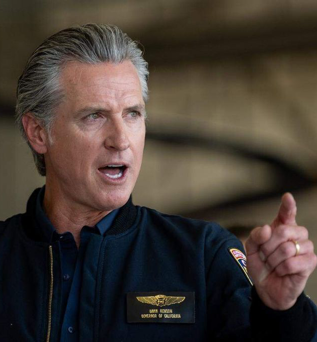 Newsom Revenge Blank Meme Template