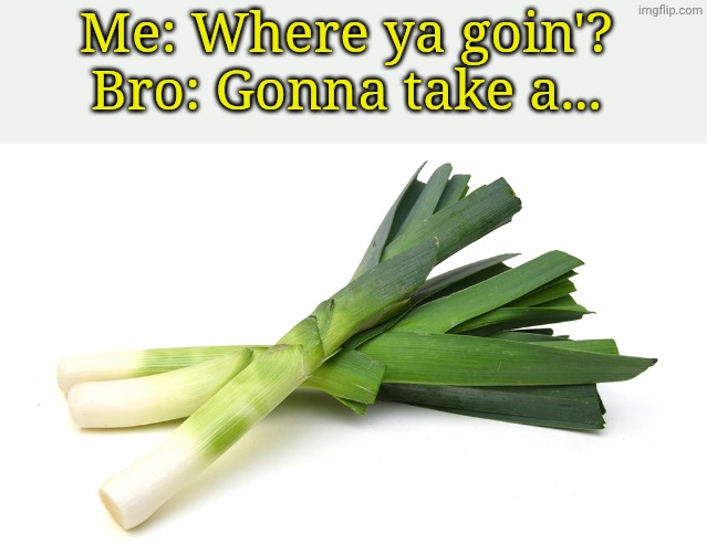 The root cause | Me: Where ya goin'? 
Bro: Gonna take a... | image tagged in leeks | made w/ Imgflip meme maker