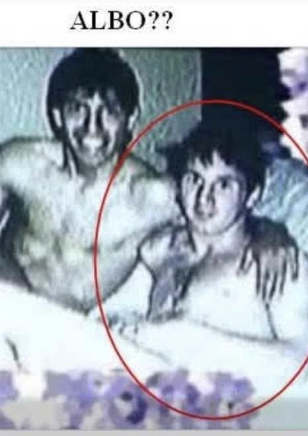 Gay Albo Blank Meme Template