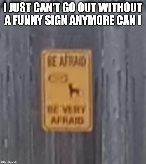 . | I just can't go out without a funny sign anymore can i | image tagged in dog | made w/ Imgflip meme maker