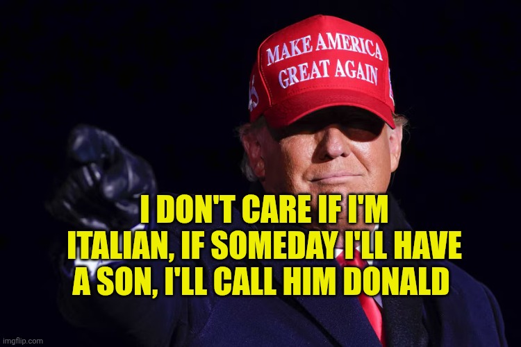 DONALD TRUMP | I don't care if i'm Italian, if someday I'll have a son, I'll call him Donald | image tagged in donald trump | made w/ Imgflip meme maker