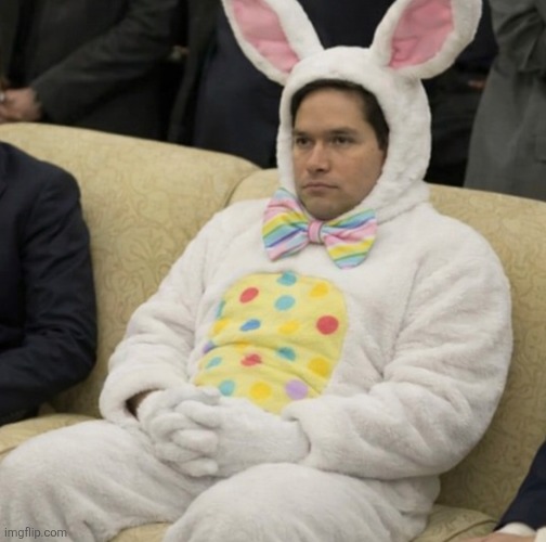 Marco Rubio | image tagged in funny | made w/ Imgflip meme maker