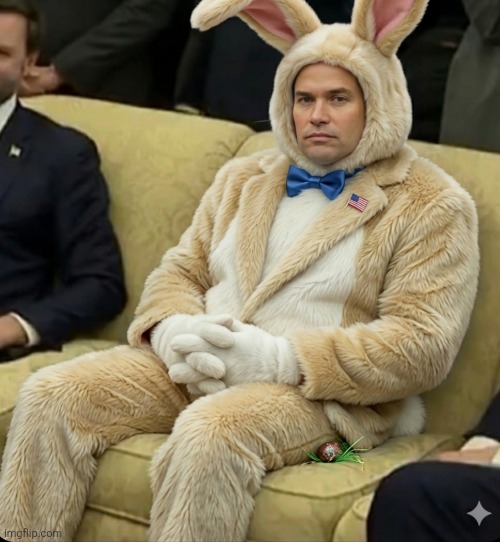 Marco Rubio | image tagged in funny | made w/ Imgflip meme maker