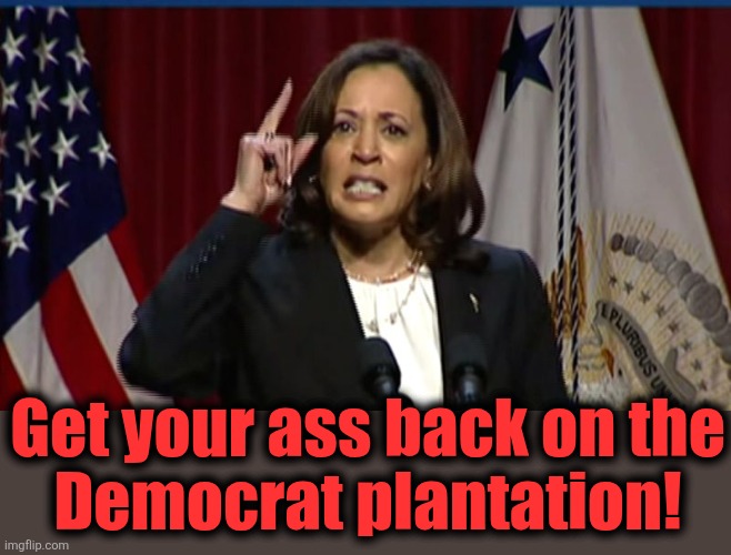 Get your ass back on the
Democrat plantation! | image tagged in kamala angry | made w/ Imgflip meme maker