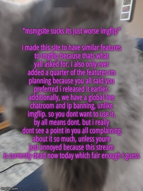. | "msmgsite sucks its just worse imgflip"
 
i made this site to have similar features to imgflip because thats what yall asked for. i also only ever added a quarter of the features im planning because you all said you preferred i released it earlier. additionally, we have a global live chatroom and ip banning, unlike imgflip. so you dont want to use it, by all means dont. but i really dont see a point in you all complaining about it so much, unless youre just annoyed because this stream is currently dead now today which fair enough i guess | image tagged in 32's cat | made w/ Imgflip meme maker