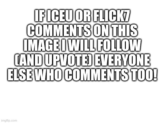 pls | IF ICEU OR FLICK7 COMMENTS ON THIS IMAGE I WILL FOLLOW (and upvote) EVERYONE ELSE WHO COMMENTS TOO! | image tagged in blank white template,not upvote begging,iceu,flick7 | made w/ Imgflip meme maker