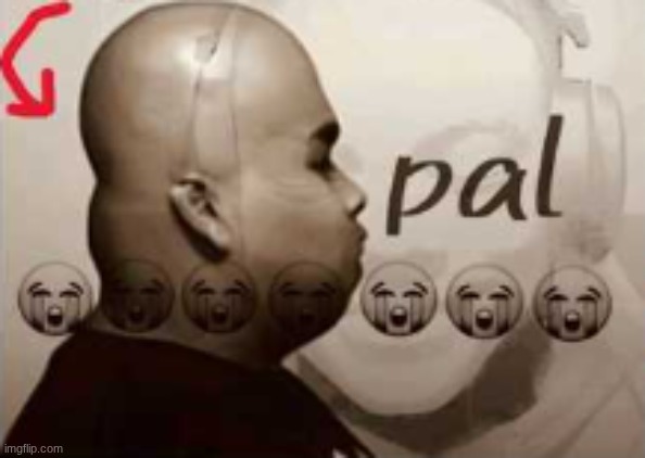 pal | image tagged in pal | made w/ Imgflip meme maker