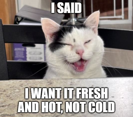 She said she likes her fries hot | I said; I want it fresh and hot, NOT COLD | image tagged in cat,cow print kitty,happy cat,funny memes | made w/ Imgflip meme maker