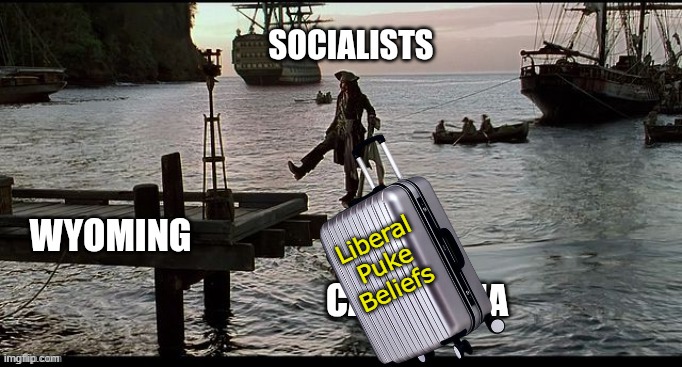 Liberal Puke Beliefs | made w/ Imgflip meme maker