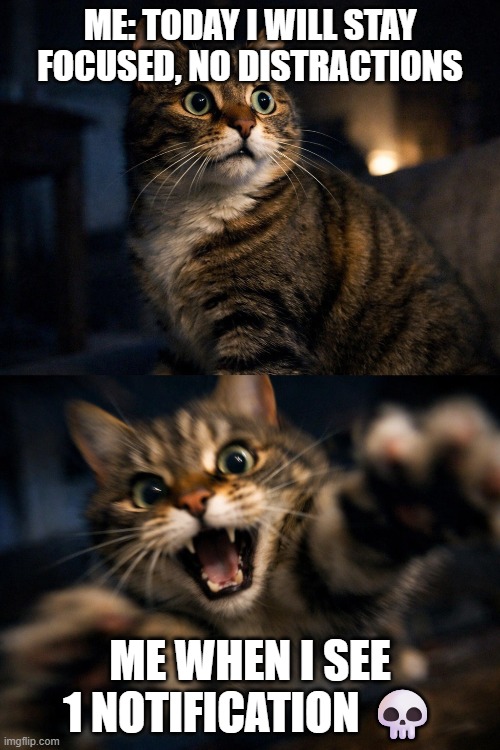 When i am trying to serious in Life | Me: Today I will stay focused, no distractions; Me when I see 1 notification 💀 | image tagged in life,distraction | made w/ Imgflip meme maker