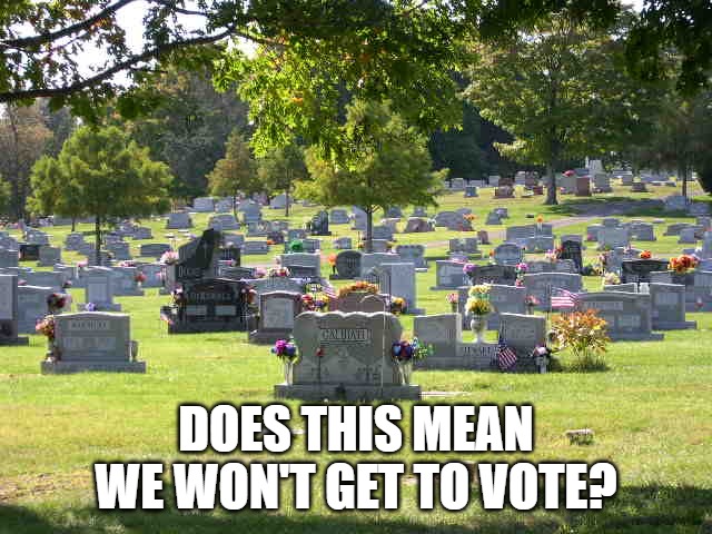cemetery | Does this mean we won't get to vote? | image tagged in cemetery | made w/ Imgflip meme maker