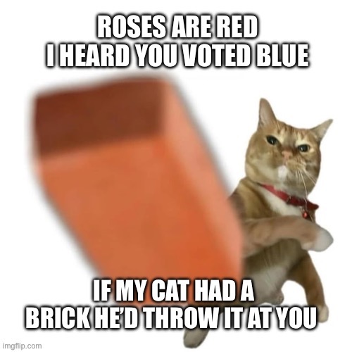 My cat ain’t playing wit y’all, liberals | image tagged in dear liberals,memes | made w/ Imgflip meme maker