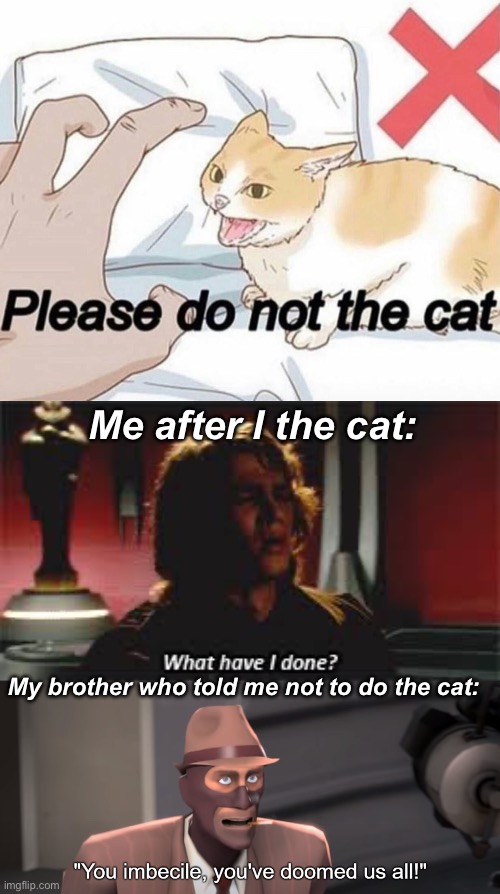 Please forgive me for having done the cat | Me after I the cat:; My brother who told me not to do the cat: | image tagged in please do not the cat,what have i done,you imbecile you've doomed us all,you know the rules it's time to die,memes,funny | made w/ Imgflip meme maker