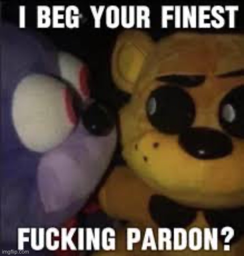 I beg your finest fucking pardon | image tagged in i beg your finest fucking pardon | made w/ Imgflip meme maker