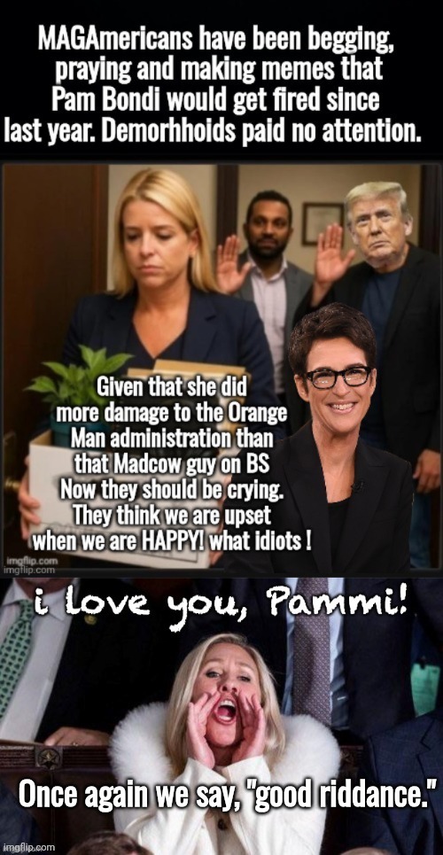 Demorhhoids are confused about Pam Bondi | image tagged in useless,asshole,fired,thank god | made w/ Imgflip meme maker