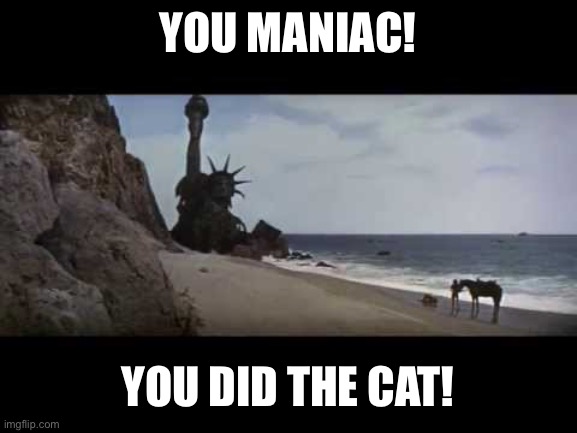 You maniacs! | You Maniac! You did the cat! | image tagged in you maniacs | made w/ Imgflip meme maker