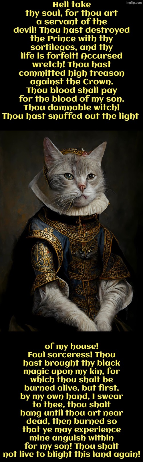 Hell Take Thy Soul! | Hell take thy soul, for thou art a servant of the devil! Thou hast destroyed the Prince with thy sortileges, and thy life is forfeit! Accursed wretch! Thou hast committed high treason against the Crown. Thou blood shall pay for the blood of my son. Thou damnable witch! Thou hast snuffed out the light; of my house! Foul sorceress! Thou hast brought thy black magic upon my kin, for which thou shalt be burned alive, but first, by my own hand, I swear to thee, thou shalt hang until thou art near dead, then burned so that ye may experience mine anguish within for my son! Thou shalt not live to blight this land again! | image tagged in cats,funny cats,witches,cursed,the king,execution | made w/ Imgflip meme maker