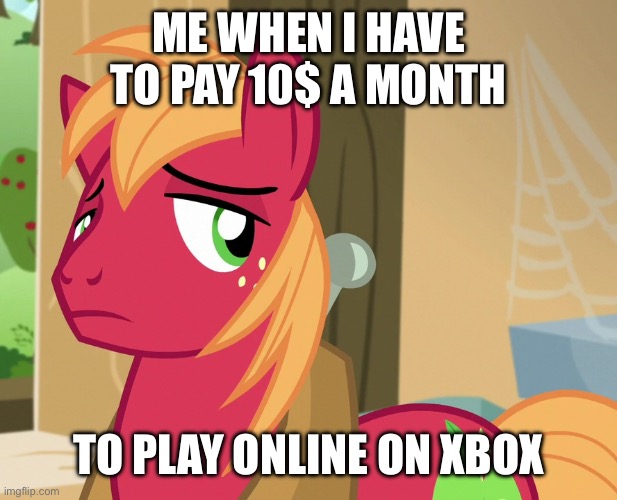 Mannnn Xbox is prob gonna add advertisements to gaming, and partner with Netflix | Me when I have to pay 10$ a month; To play online on xbox | image tagged in disappointed big macintosh mlp,big mac,disappointment,mannn | made w/ Imgflip meme maker