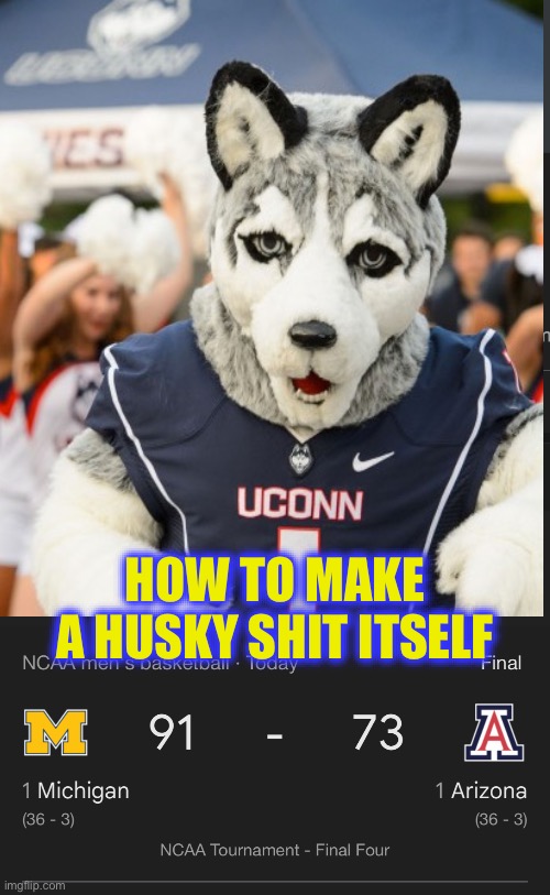How to make a Husky poo itself | How to make a Husky shit itself | image tagged in michigan,wolverines,go blue,ncaa,basketball,husky | made w/ Imgflip meme maker
