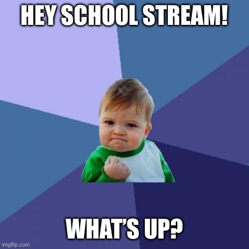 Haven’t been here in awhile | Hey school stream! What’s up? | image tagged in memes,success kid | made w/ Imgflip meme maker
