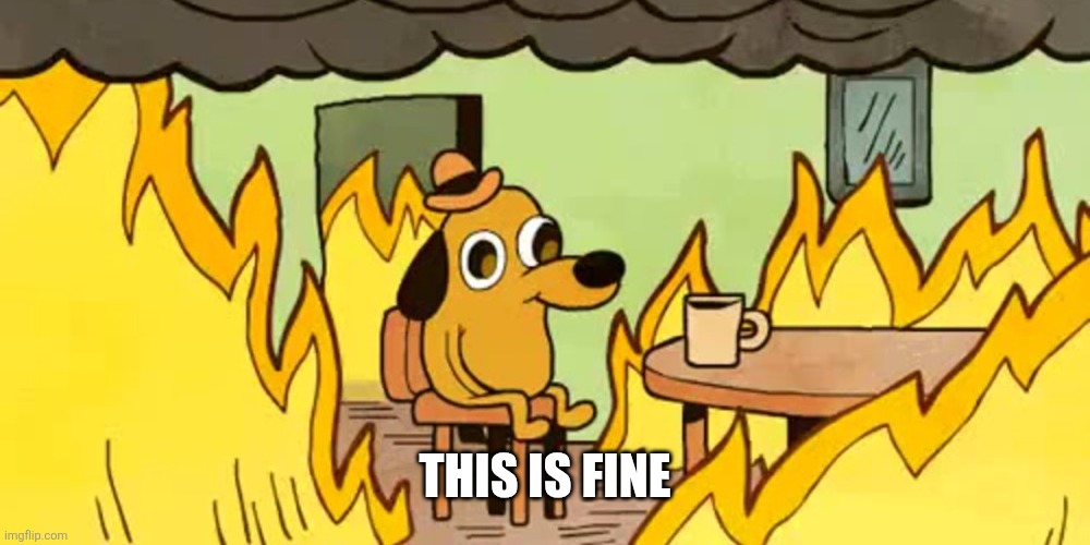 This is fine | image tagged in dog on fire | made w/ Imgflip meme maker