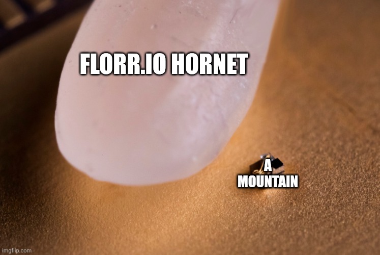 Grain Of Rice | Florr.io hornet; A mountain | image tagged in memes,grain of rice,florr io,io games,hornet,worlds smallest computer | made w/ Imgflip meme maker