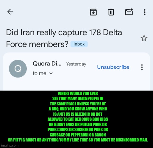 Funny | Where would you ever see that many Delta people in the same place unless you're at a BBQ. And you know anyone who is anti US is allergic or not allowed to eat delicious BBQ ribs or burnt ends or pulled pork or pork chops or shiskebob pork or sausage or pepperoni or bacon or pit pig roast or anything yummy like that so you must be misinformed man. | image tagged in funny,iran,palestine,war,delta,bbq | made w/ Imgflip meme maker