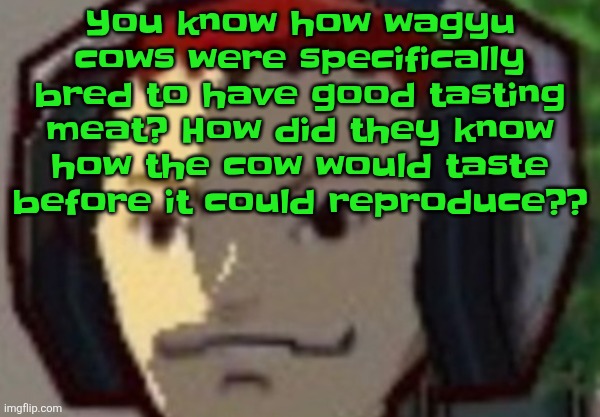 Like what | You know how wagyu cows were specifically bred to have good tasting meat? How did they know how the cow would taste before it could reproduce?? | made w/ Imgflip meme maker