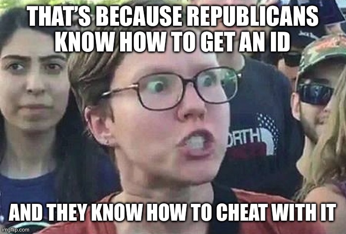 Triggered Liberal | That’s because republicans know how to get an id And they Know how to cheat with it | image tagged in triggered liberal | made w/ Imgflip meme maker