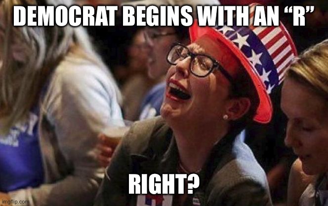 Democrat begins with an “r” Right? | image tagged in crying liberal | made w/ Imgflip meme maker