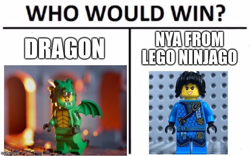 My Ninjago Universe explains everything, any questions? | Dragon; Nya from Lego Ninjago | image tagged in memes,who would win,ninjago | made w/ Imgflip meme maker