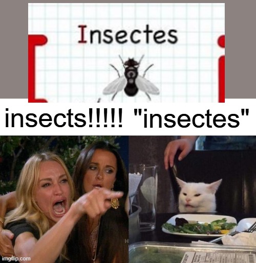 insectes lmao | insects!!!!! "insectes" | image tagged in memes,woman yelling at cat,you had one job,you had one job just the one | made w/ Imgflip meme maker